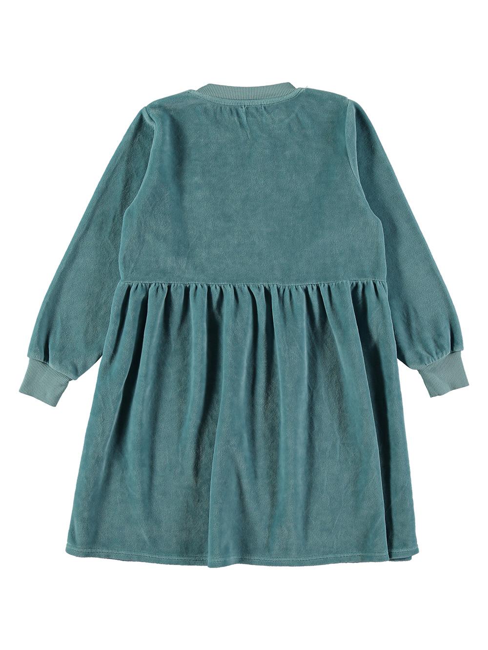 BLUE FLOWER EMBROIDERED VELVET DRESS
