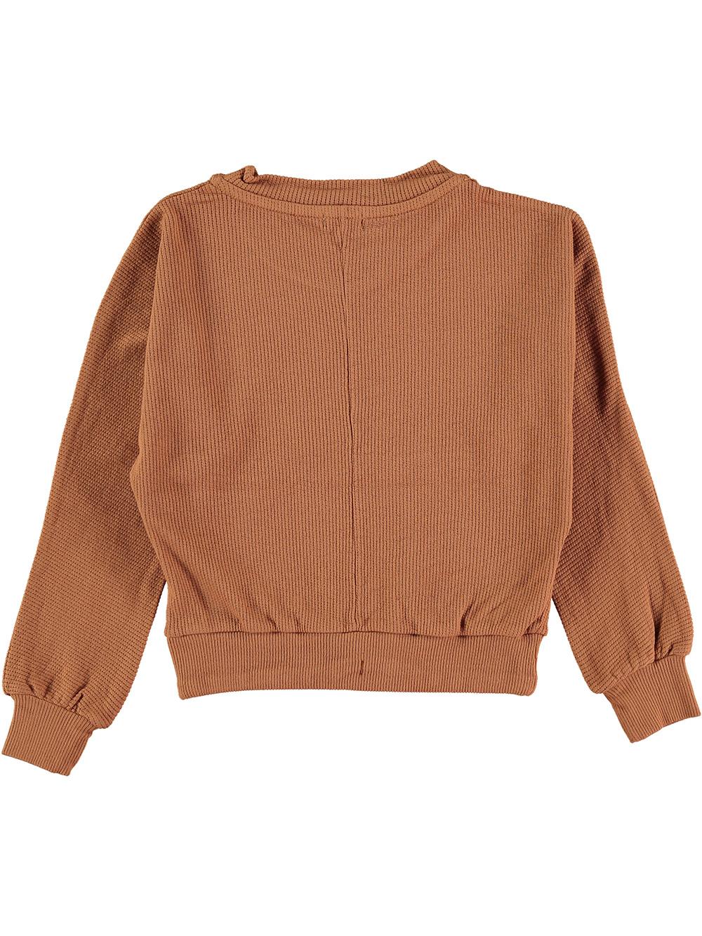 SUDADERA BOLSILLO FRONTAL BORDADO MARIPOSA MARRÓN