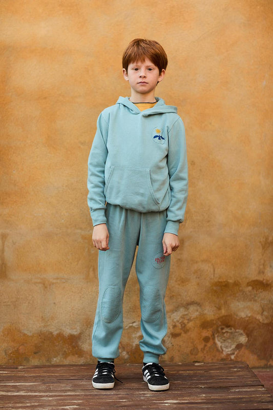 BLUE BIRD AND SUN HOODIE