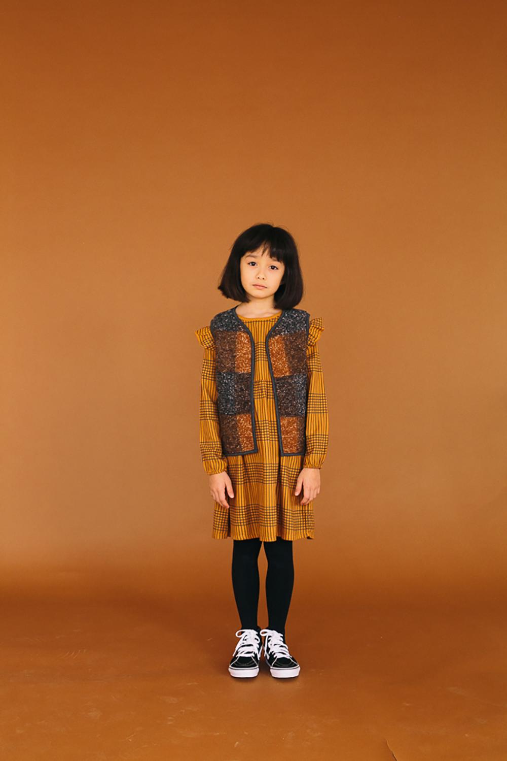 BROWN VEST