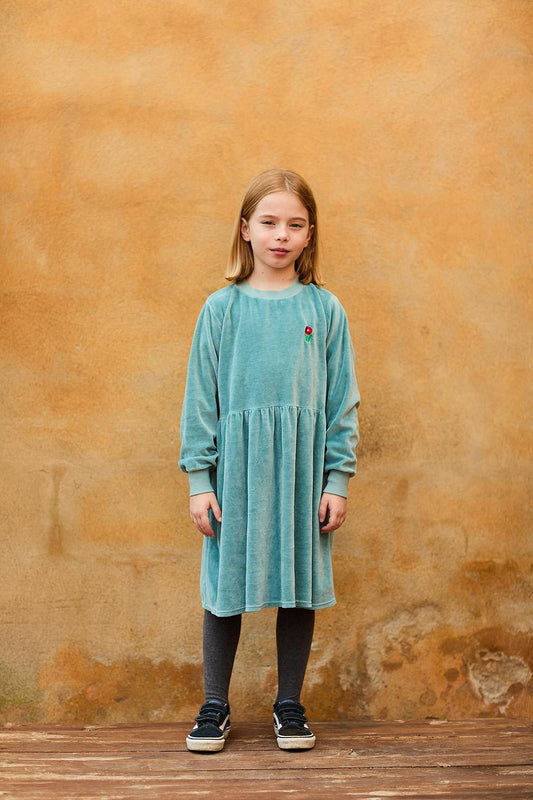 BLUE FLOWER EMBROIDERED VELVET DRESS