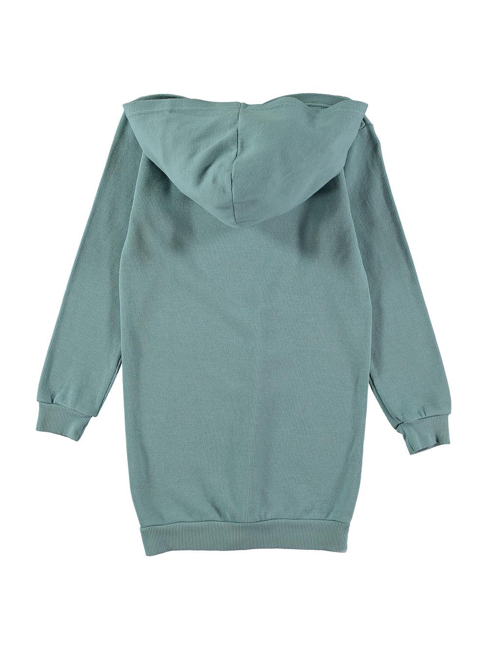 BLUE SUNBIRD HOODED DRESS