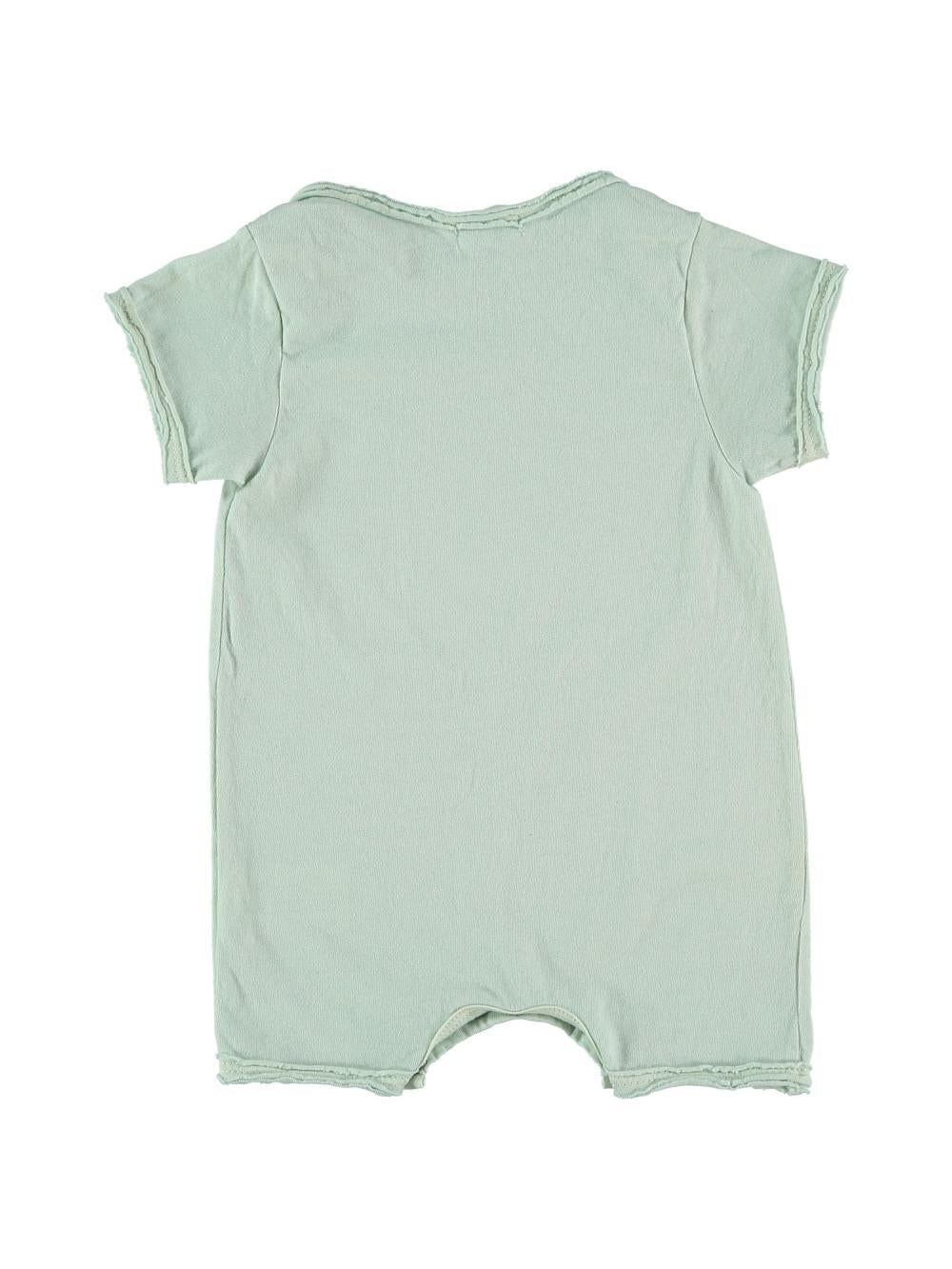 MONO CORTO TAZA RROJOS VERDE