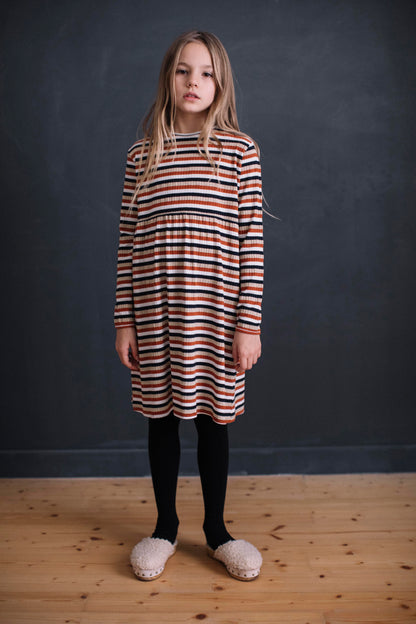 MULTI-STRIPED LONG SLEEVE DRESS